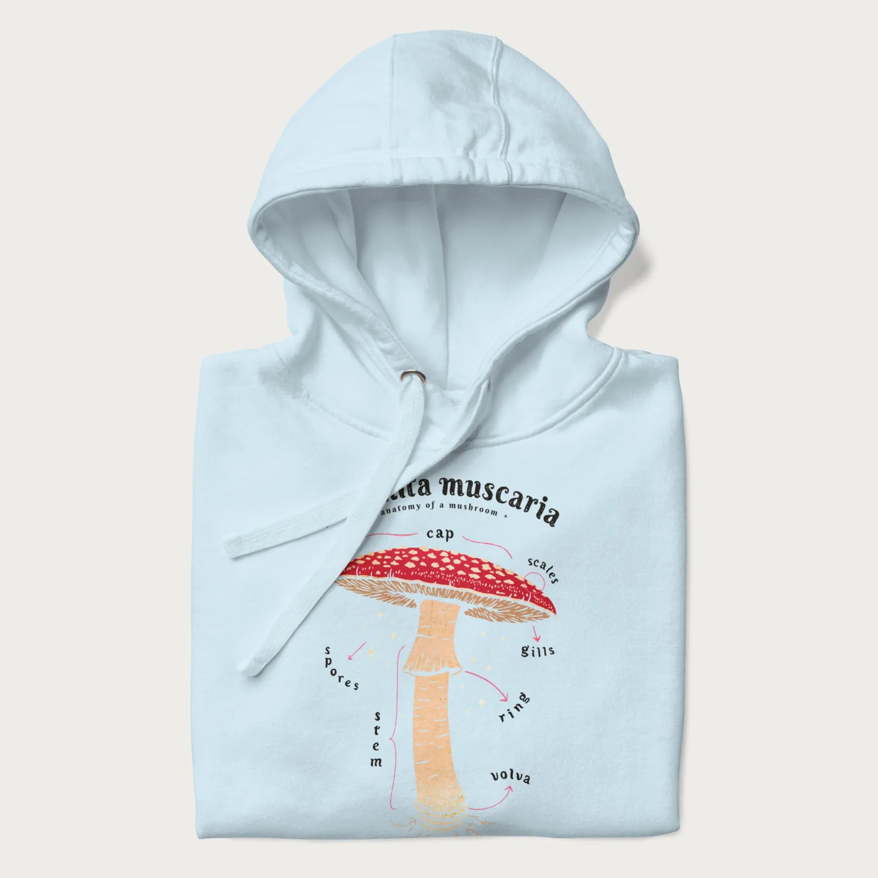 Folded light blue hoodie with a detailed anatomy illustration of an Amanita muscaria mushroom.
