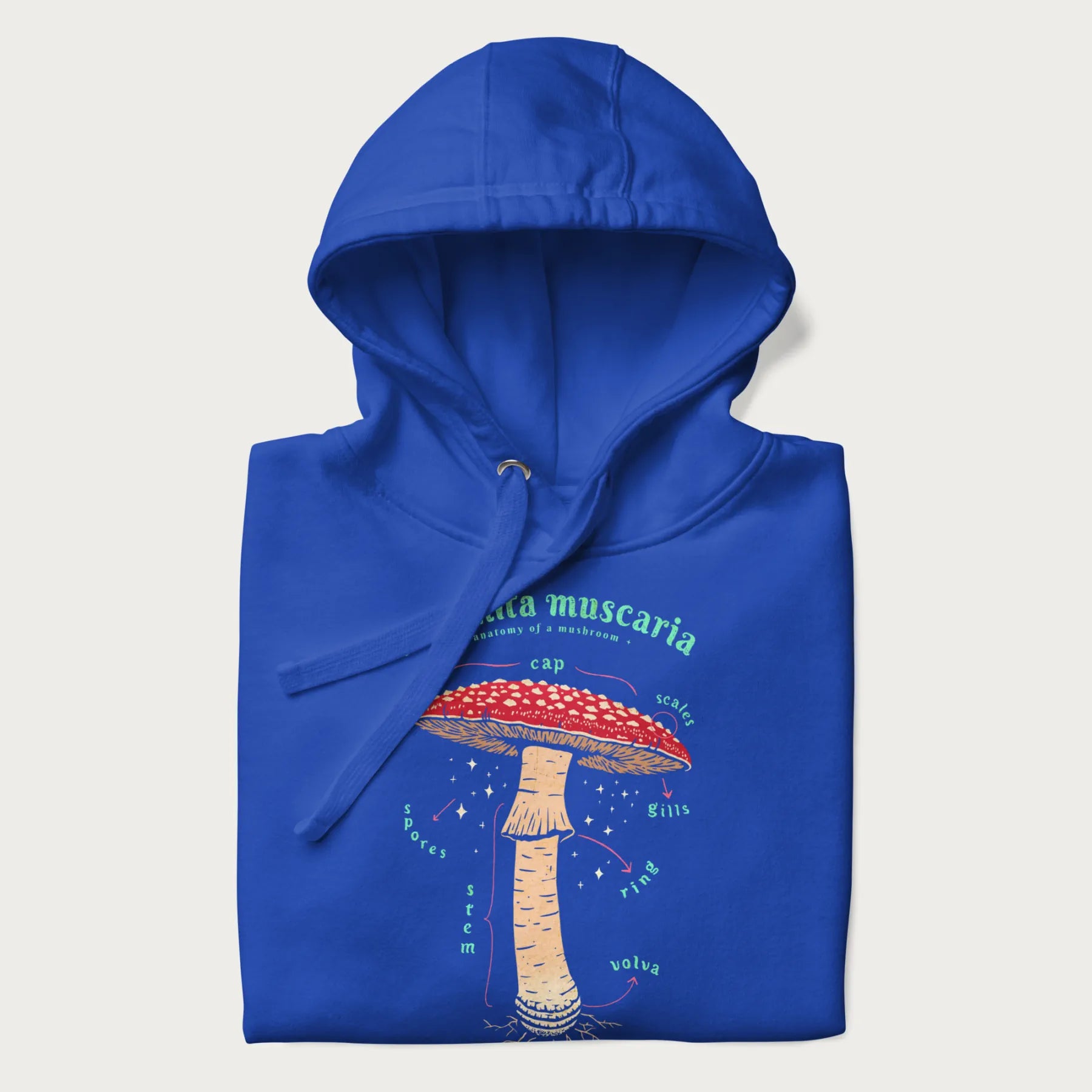 Folded royal blue hoodie with a detailed anatomy illustration of an Amanita muscaria mushroom.