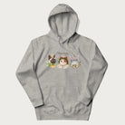 Light grey hoodie with a graphic of three cats in vintage-inspired attire and the text 'Cottagecore Cats'.