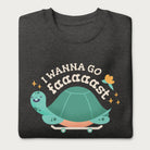 Folded dark grey sweatshirt with a graphic of a turtle on a skateboard and the phrase 'I Wanna Go Fast.'