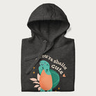 Folded dark grey hoodie with a cute turtle graphic and the text 'You're Shella Cute' above.